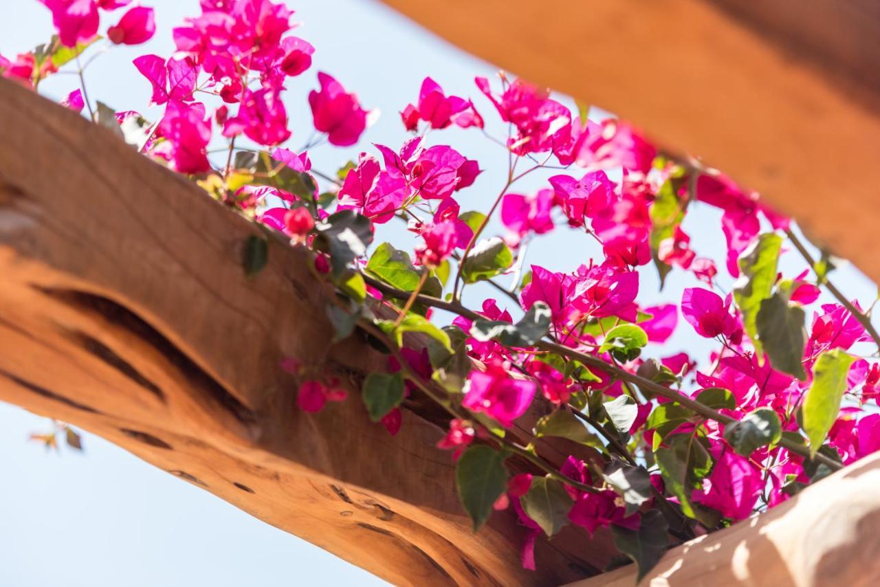 Valley Club Ibiza - Boutique Agroturismo 산트 호안 데 라브리트하 외부 사진
