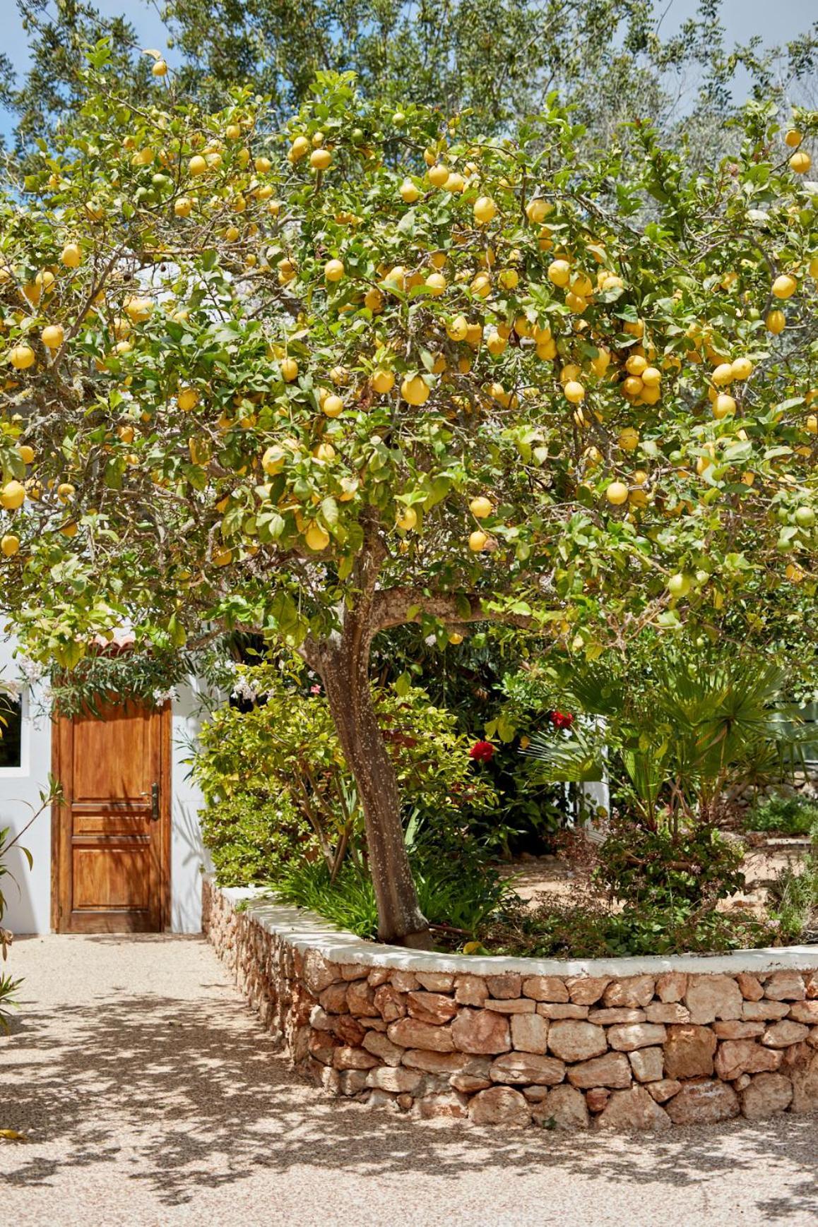 Valley Club Ibiza - Boutique Agroturismo 산트 호안 데 라브리트하 외부 사진